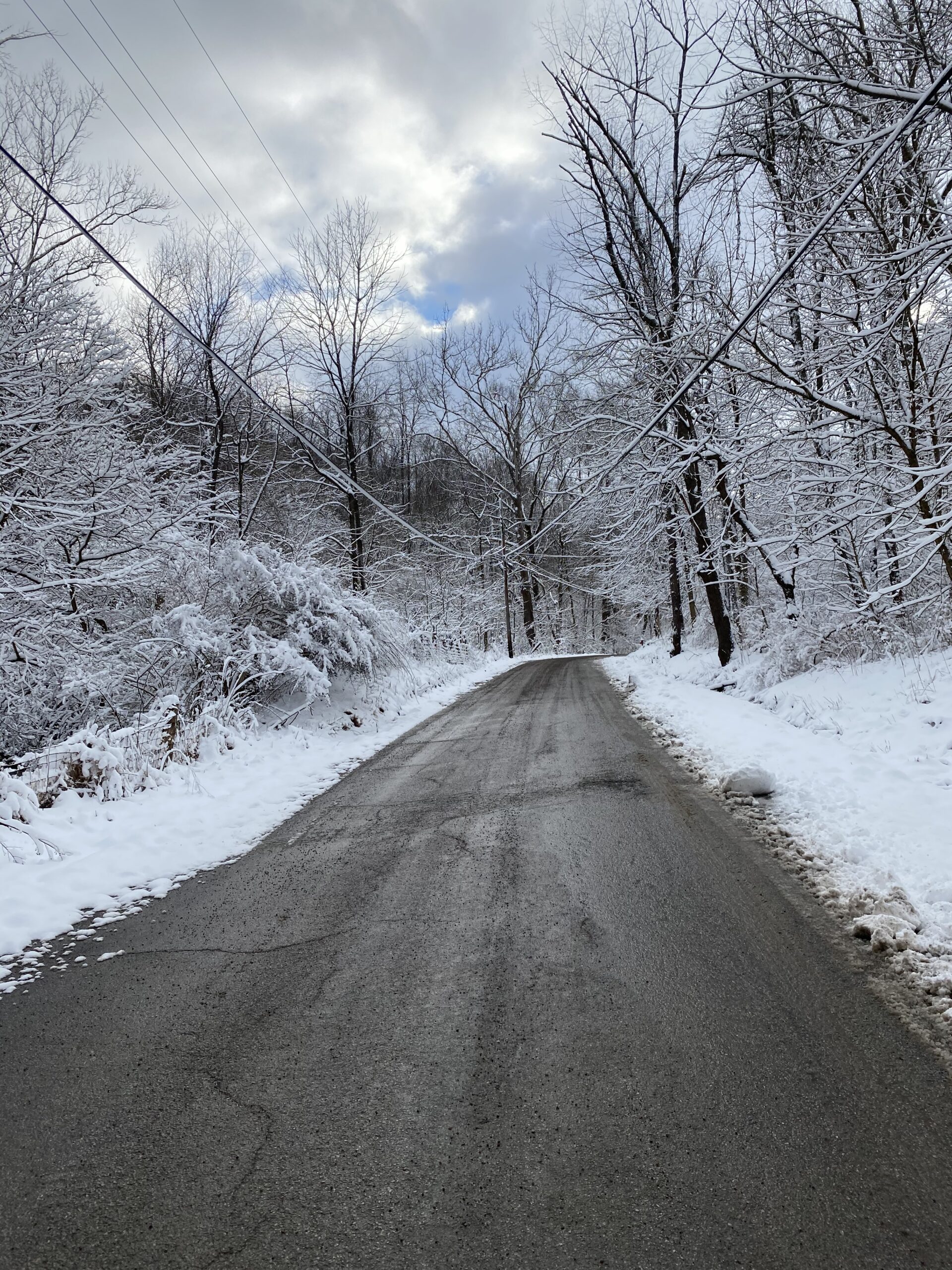 “Snow” More: Linsly Goes Virtual Under Winter Storms