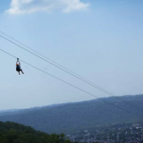 Zipping Into the School Year!