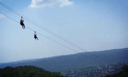 Zipping Into the School Year!