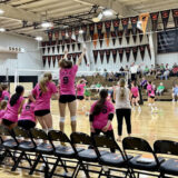 Volleyball Pink Out!